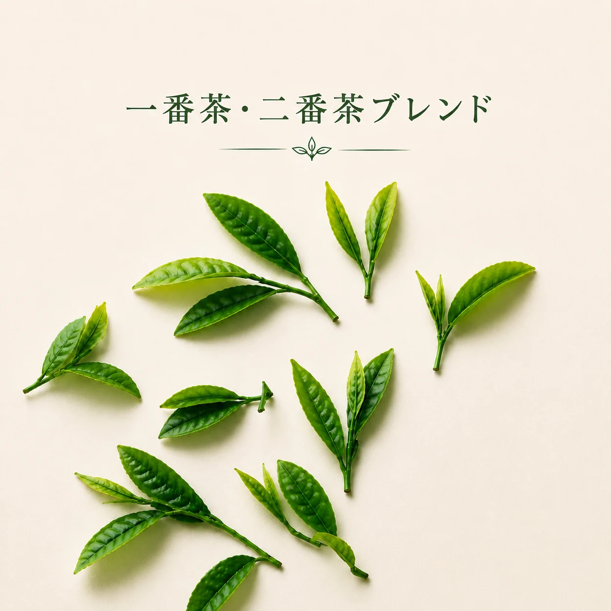 一番茶と二番茶の調和
