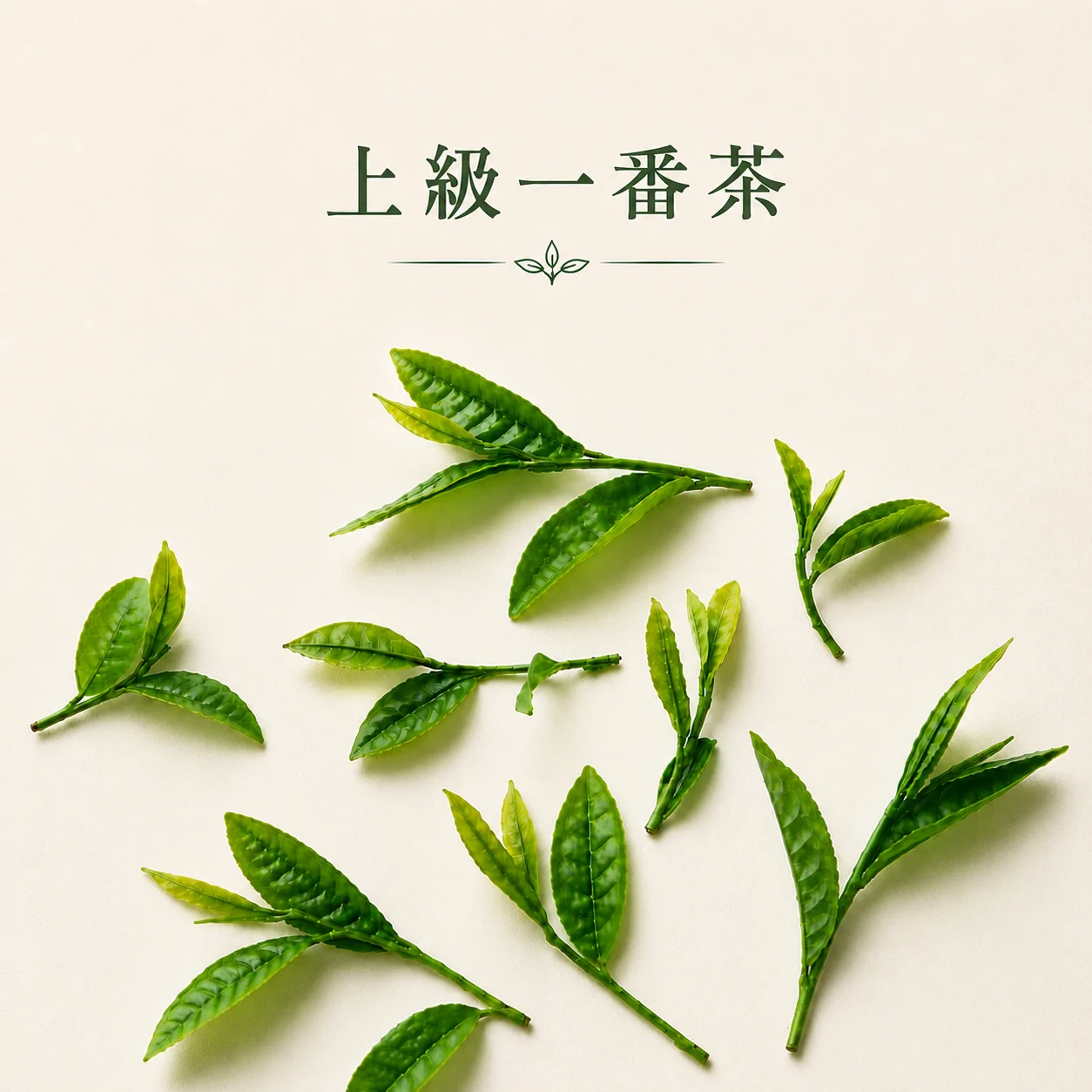 日常にも贈り物にも使いやすい