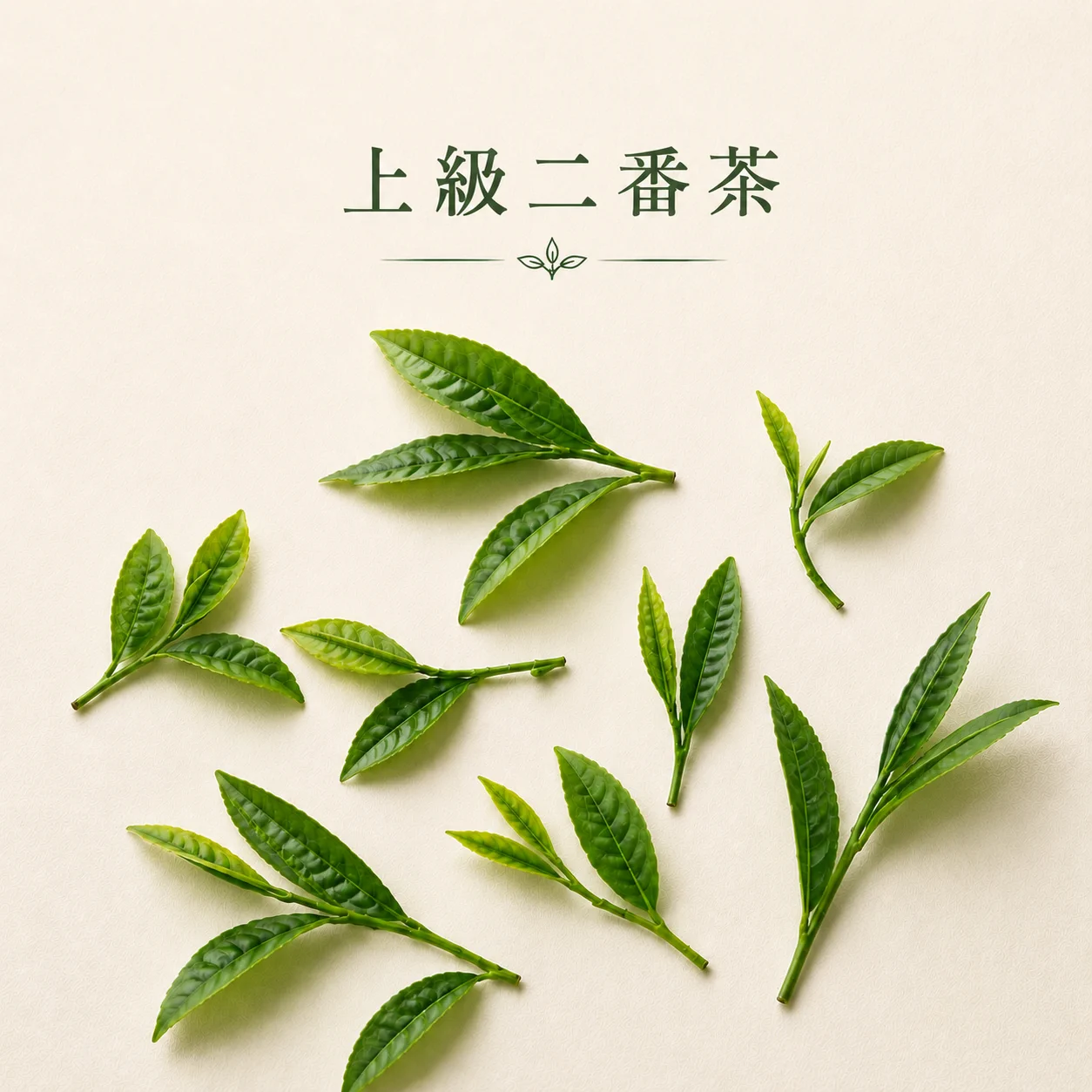 二番茶ならではの軽やかさ