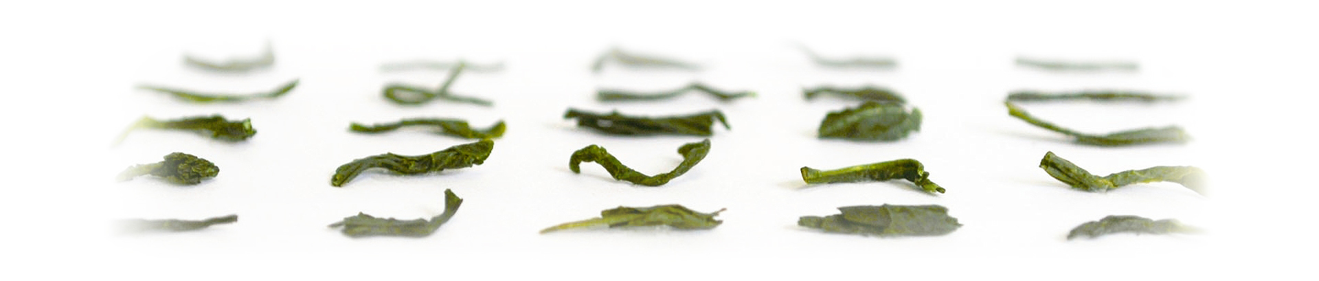 お茶の形