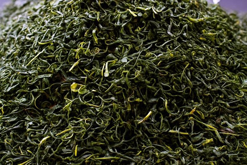 沼津のぐり茶生産農家