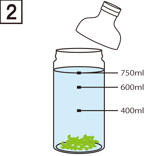 水出し茶　茶葉2