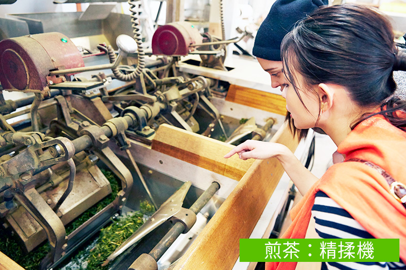 煎茶の製造　精柔機