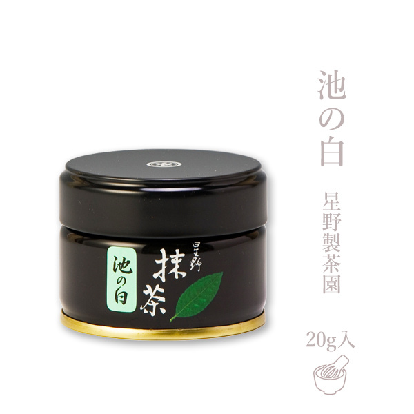 星野製茶の抹茶　池の白