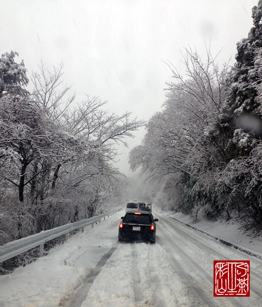 天城 雪