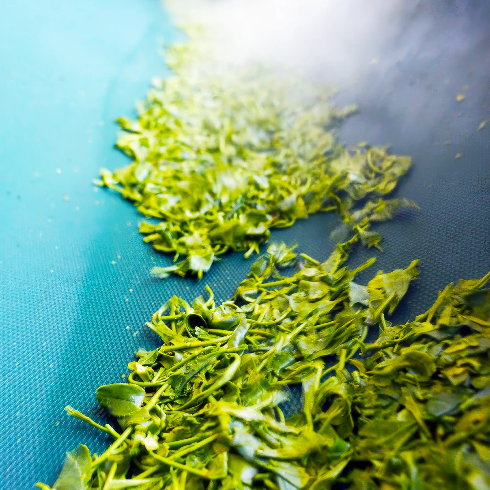 蒸気に包まれる製茶工程のお茶の葉